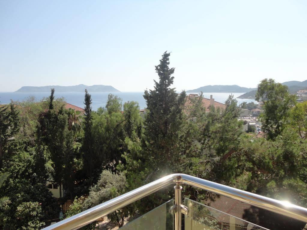 Ekici Kaş